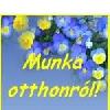 Otthnt�l interneten p�nz keres�s